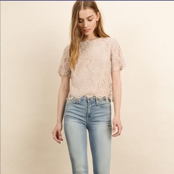 Lace top - Blush - Picture 2 of 3